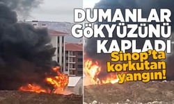 Sinop'ta yangın: Dumanlar gökyüzünü kapladı