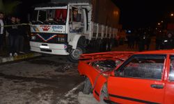 Giresun'da park halindeki kamyona çarpan otomobilin sürücüsü yaralandı