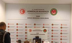 Gümrük Muhafaza 142 Milyon Türk Lirası değerinde kaçakçılığa engel oldu