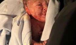 Pendik’te yeni doğmuş bir bebek bulundu