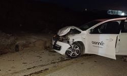 BİLECİK - Otomobilin çarptığı çoban yaralandı