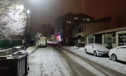 BİNGÖL - Karlıova'da kar yağışı etkili oldu