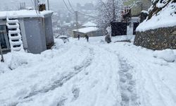 BİTLİS - Ahlat’ta kar yağışı etkili oldu