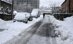 BİTLİS - Kar yağışı etkili oldu