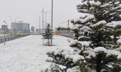 Erzurum martta yeniden karla kaplandı