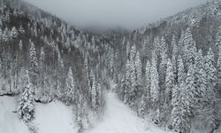 KASTAMONU - Karla kaplanan ormanlar dron ile görüntülendi
