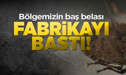 Bölgemizin korkulu rüyası fabrikayı bastı!