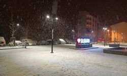 SİVAS - Suşehri ilçesinde kar yağışı etkili oldu