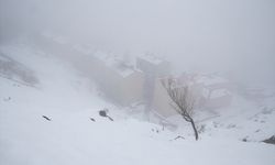 VAN - Kar yağışı yaşamı olumsuz etkiledi