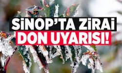 Sinop'ta zirai don uyarısı