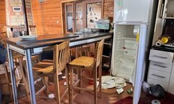Artvin'de ayılar kayak merkezindeki 7 yapıya zarar verdi