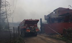 Kastamonu'da büyük yangın! 4 büyükbaş hayvan telef oldu