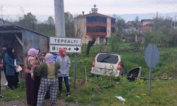 Samsun'da tarlaya devrilen hafif ticari araçtaki 5 kişi yaralandı