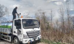 Tokat'ta otları temizlemek için yakılan ateş büyüyerek meyve ağaçlarına zarar verdi