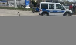 Tokat'ta otomobil ile motosikletin çarpıştığı kazada 1 kişi yaralandı