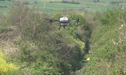 Bafra Ovası’nda dron destekli sivrisinek mücadelesi