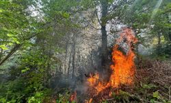 Bahçe temizliği için yakılan ateş, ormanın 5 dönümlük alanında tahribata yol açtı