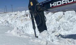 Doski Vadisi’nde 5 metreyi bulan karda yol açma çalışması