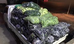 Elde kalan sebzeler bağışlanarak, çöpe atılmaktan kurtarılıyor