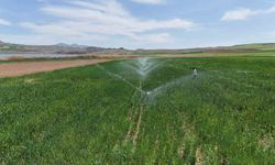Yağışlar azaldı, kuraklık riski arttı: Çiftçiler modern sistemlerle sulama yapıyor