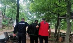 Yalova’da 2 hektar ormanın yanmasına neden olan zanlı gözaltına alındı