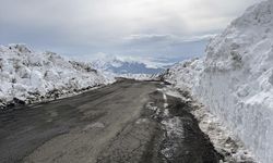 ARDAHAN - Kar ve tipi nedeniyle 4,5 aydır kapalı olan Ardahan-Ardanuç yolu ulaşıma açıldı