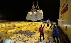 ARİŞ - Türkiye'nin "9. İyilik Gemisi"ndeki yardım malzemelerinin indirilmesine başlandı
