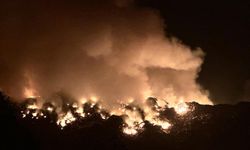 ARTVİN - Çöp sahasında yangın çıktı