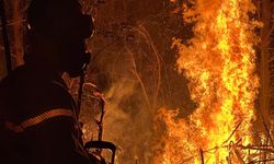 DÜZCE - Yangında yaklaşık 6 dönüm ormanlık alan zarar gördü