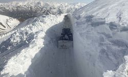 HAKKARİ - Kar nedeniyle kapanan üs bölgesinin yolu bir haftada açıldı