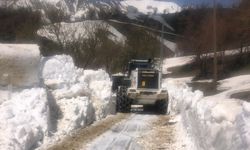 HAKKARİ - Yüksekova'da kar nedeniyle kapalı olan yollarda çalışmalar devam ediyor