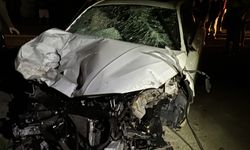 HATAY - Kontrolden çıkan otomobil park halindeki 2 araca çarptı, sürücü kaza yerini terk etti