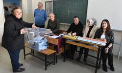 Sinoplular oy kullanıyor!