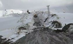 Şırnak’ta mayıs ayında 10 metrelik karda yol açma çalışmaları sürüyor