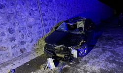 BİNGÖL - Ata çarpan otomobildeki 1 kişi öldü, 5 kişi yaralandı