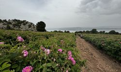 Burdur Gölü'nün kenarında "Gül Yolu" projesi başlatıldı