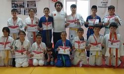 Sinoplu judocular Türkiye Şampiyonası'nda