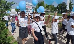 OSMANİYE - Sağlık İçin Hareket Et Günü kapsamında yürüyüş yapıldı