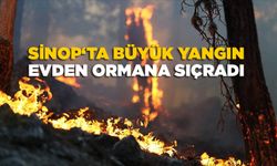 Sinop'taki yangın için destek ekip talep edildi