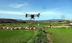 Saraydüzü'nde çiftçilerin dron kullanımı yaygınlaşıyor