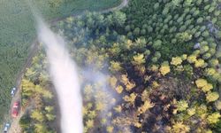 ADANA - Ormanlık alanda yangın çıktı (3)