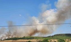 Balıkesir’de makilik alandaki yangın ormana sıçradı