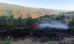 Bingöl’deki orman yangını büyümeden söndürüldü