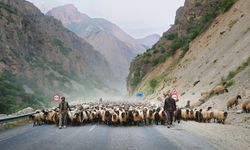 HAKKARİ - Siirtli göçerler, günler süren yolculuğun ardından Hakkari'ye ulaştı