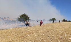 MARDİN - Arazi yangını kontrol altına alındı