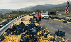 MERSİN - Limon yüklü kamyonun devrilmesi sonucu 6 kişi yaralandı