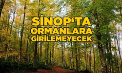 Sinop’ta ormanlara girmek yasaklandı