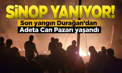 Sinop yangınlarla boğuşuyor. Durağan'da büyük yangın!