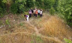 Adana’da köylülerin şifalı ot "kantaron" hasadı başladı