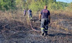 Kocaeli’de ağaçlık alan yandı: 10 hektar küle döndü